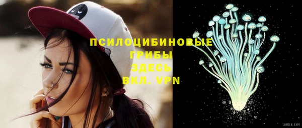 мет Няндома