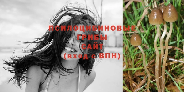 MDMA Нязепетровск