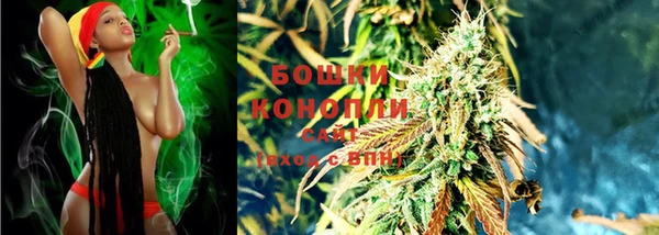 мет Няндома