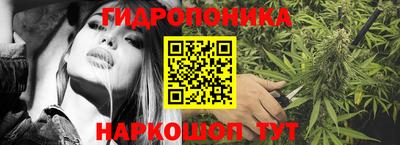 соль ск Бийск