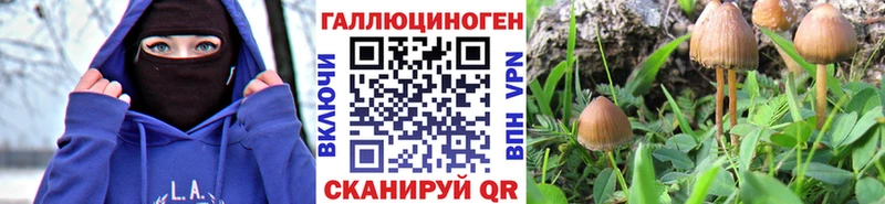 KRAKEN ТОР  Ялуторовск  Галлюциногенные грибы мухоморы 