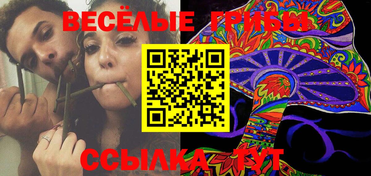 Галлюциногенные грибы Psilocybine cubensis Ялуторовск
