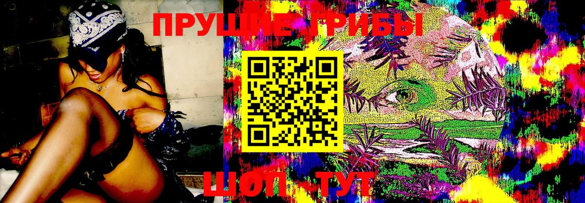 Псилоцибиновые грибы прущие грибы Ялуторовск