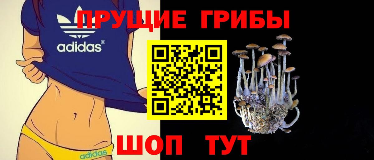 Псилоцибиновые грибы Psilocybine cubensis  Псилоцибиновые грибы Psilocybine cubensis  Вход с VPN  Ялуторовск 