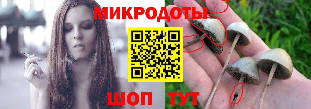 Псилоцибиновые грибы Psilocybine cubensis  Галлюциногенные грибы мухоморы  Ялуторовск 